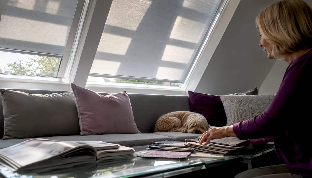 Skylight window with cellular shade and light control